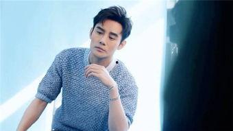 吃瓜娱乐圈八卦王凯,娱乐圈吃瓜王，揭秘明星幕后故事