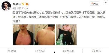 娱乐圈吃瓜熊婶是谁,吃瓜熊婶的真实身份大起底